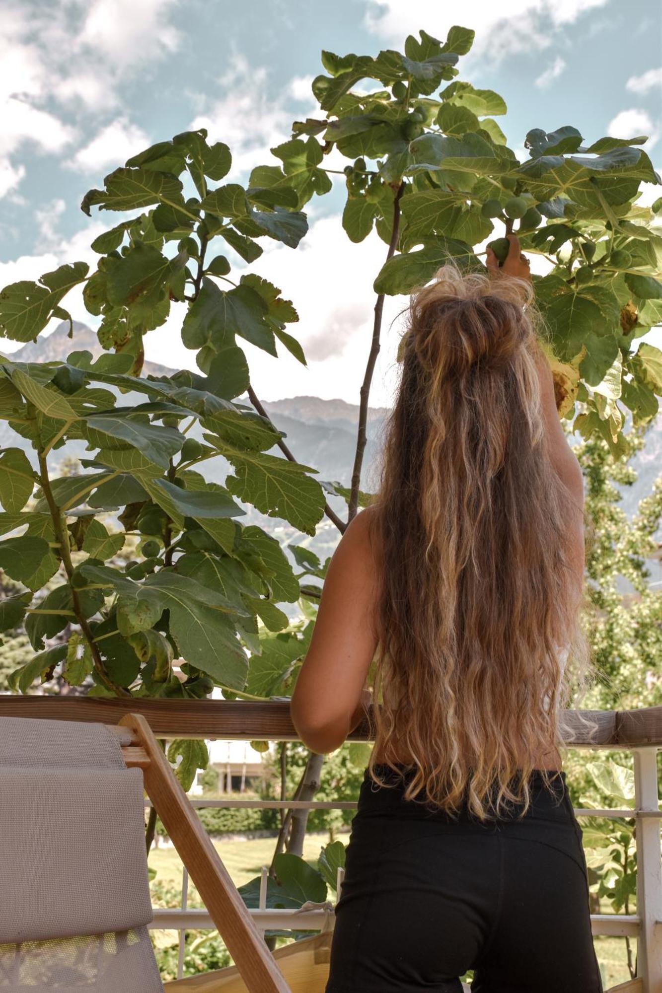 Alpimena Natur-Apartments Meran Bagian luar foto